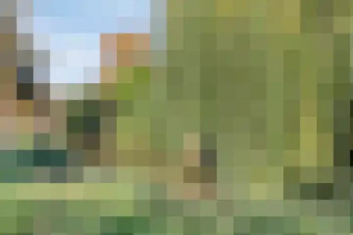Lombardijenlaan 343 Tilburg thumbnail 37