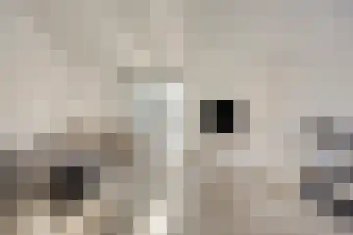 Lombardijenlaan 343 Tilburg thumbnail 6