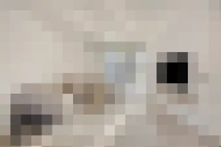 Lombardijenlaan 343 Tilburg thumbnail 7