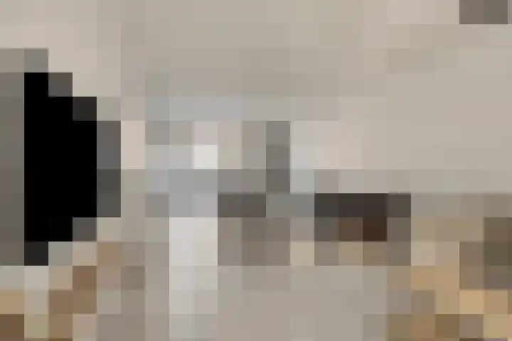 Lombardijenlaan 343 Tilburg thumbnail 9