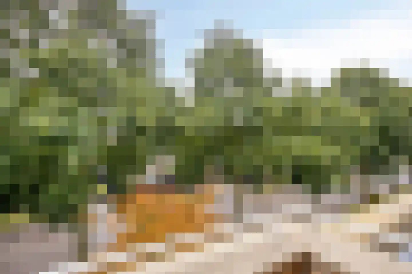 Lombardijenlaan 353 Tilburg thumbnail 46
