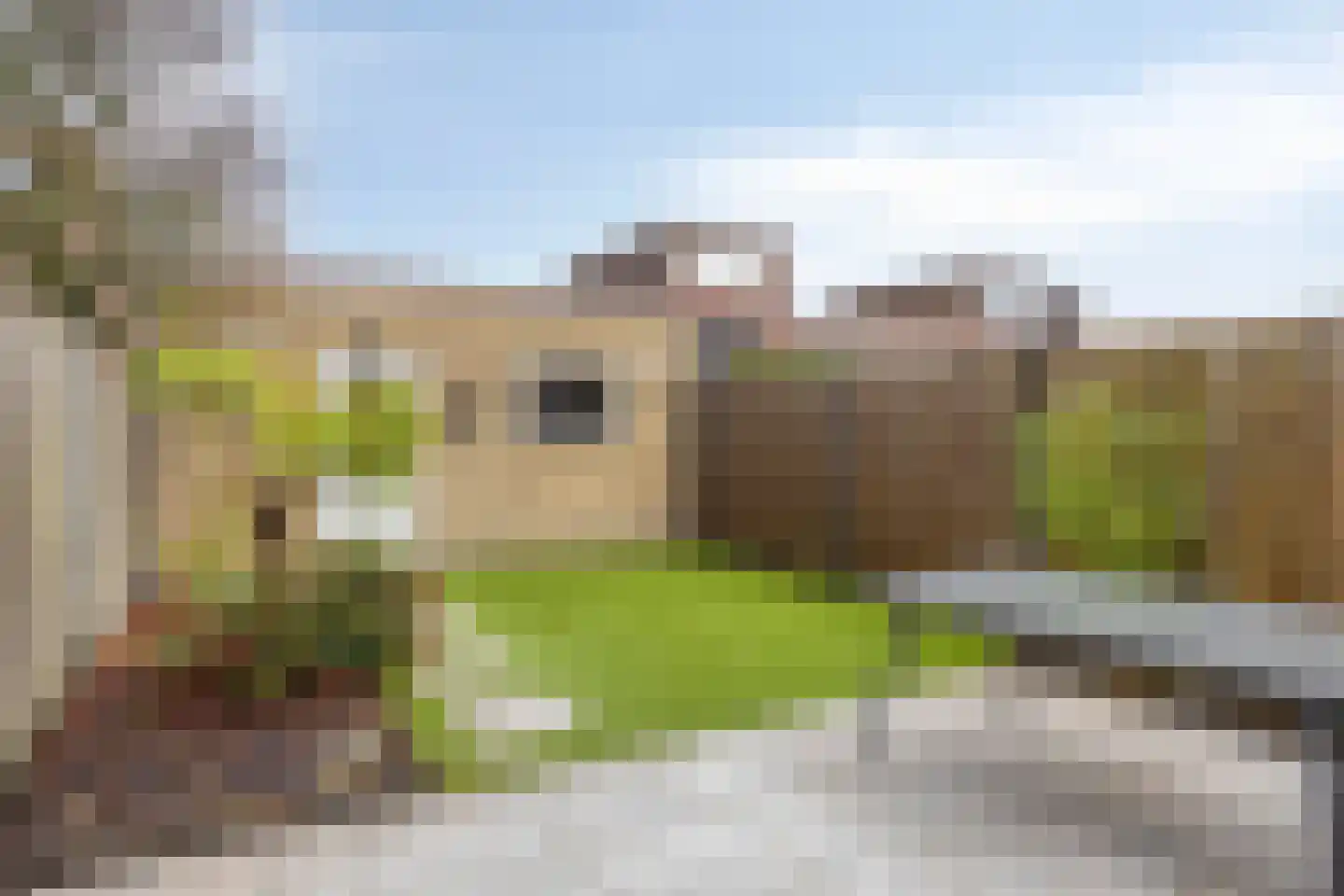 Lombardijenlaan 353 Tilburg thumbnail 8