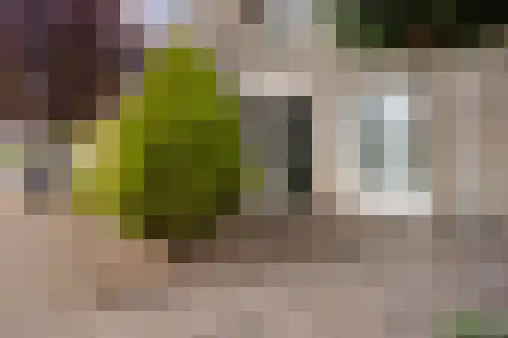 Lombardijenlaan 51 Tilburg thumbnail 26