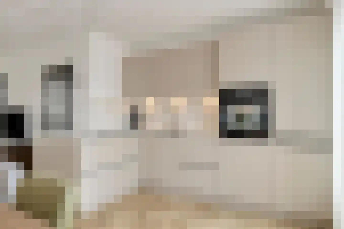 Lombardijenlaan 95 Tilburg thumbnail 19