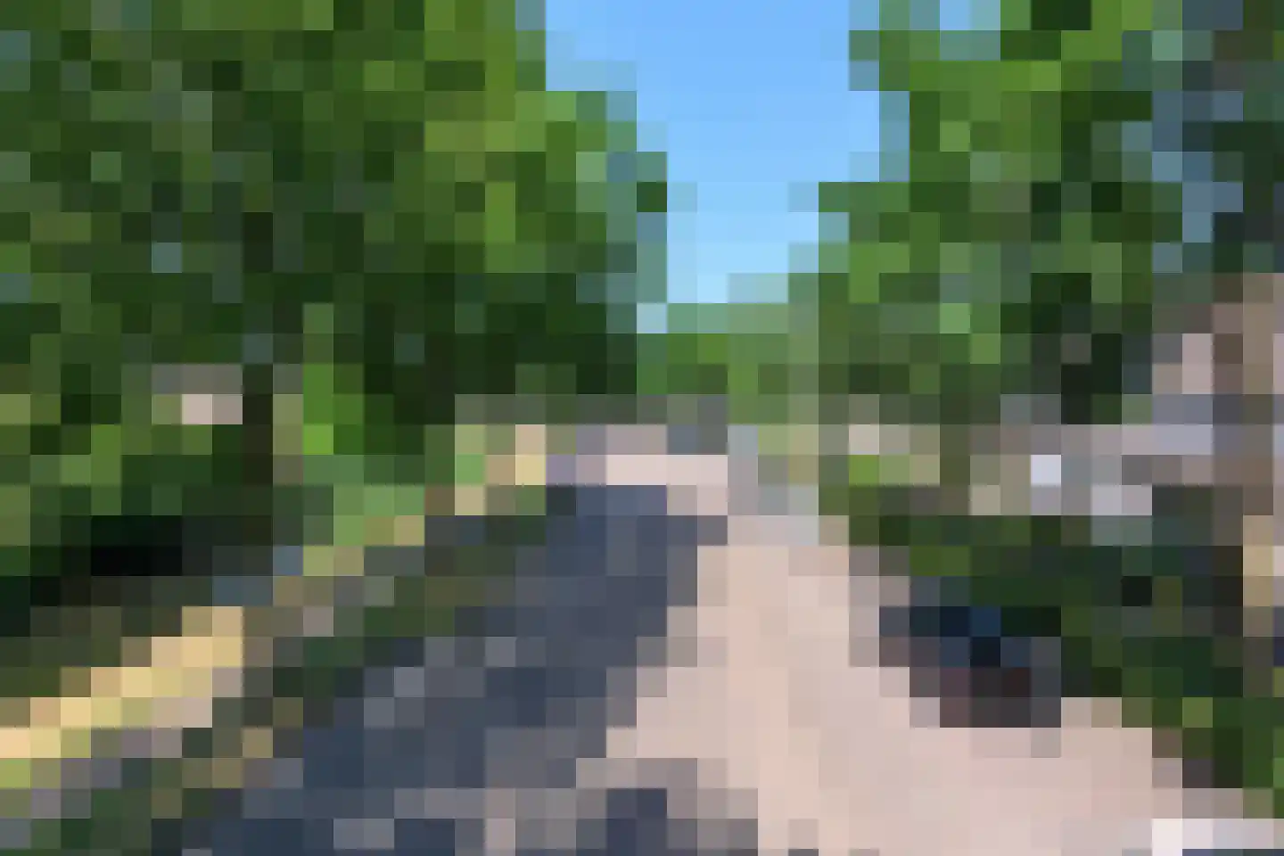Lombardijenlaan 95 Tilburg thumbnail 70