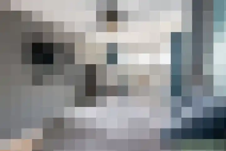 Lombardijeweg 3 Alkmaar thumbnail 13