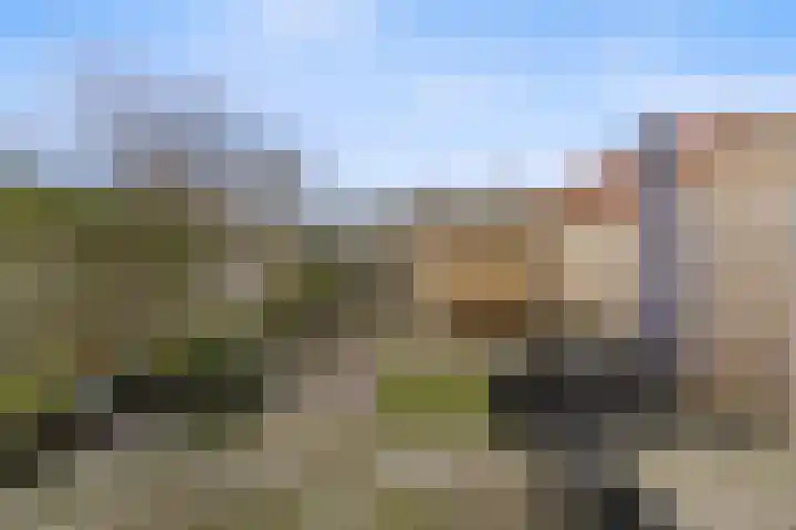 Lombardijeweg 3 Alkmaar thumbnail 22