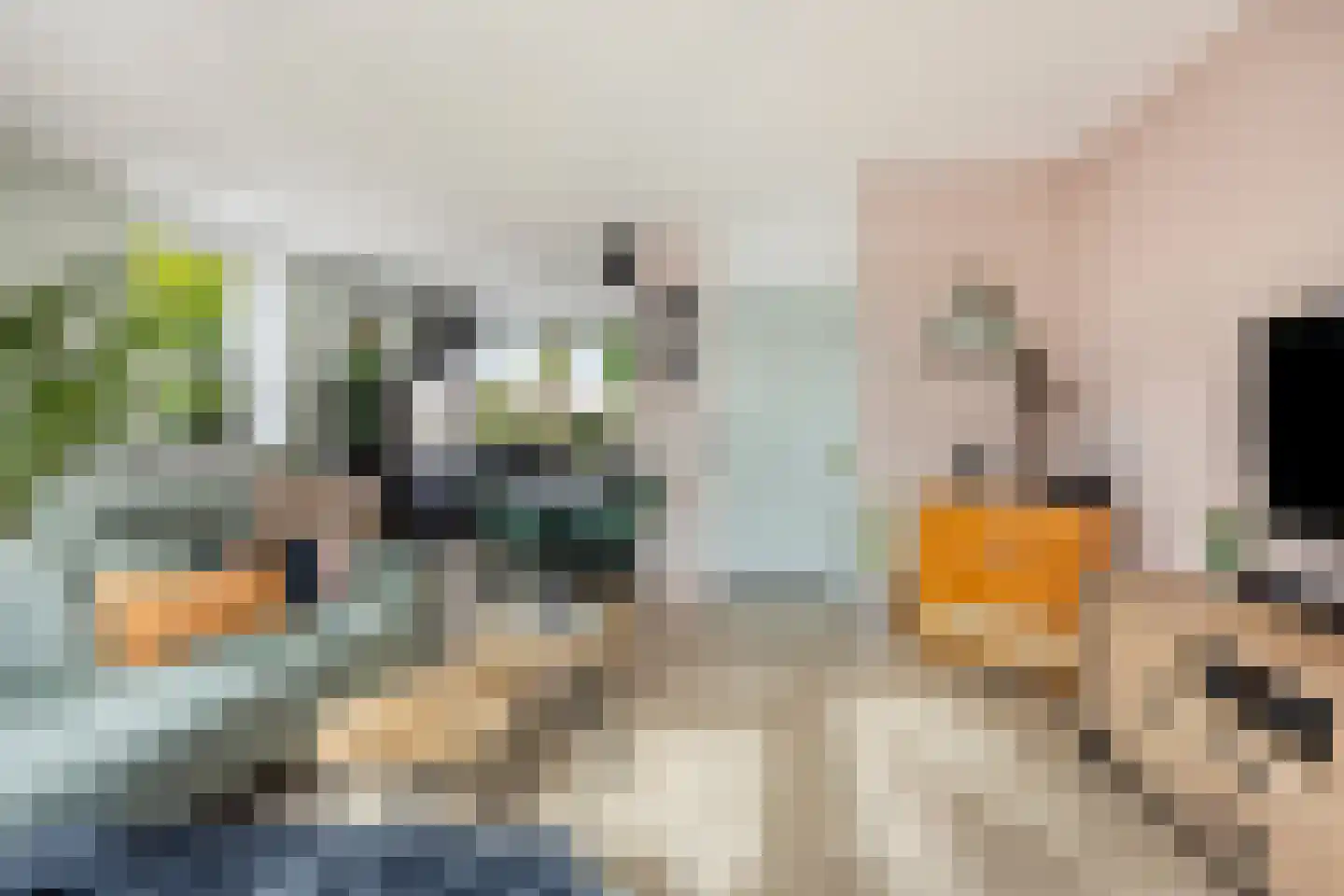 Lombardijeweg 9 Alkmaar thumbnail 11