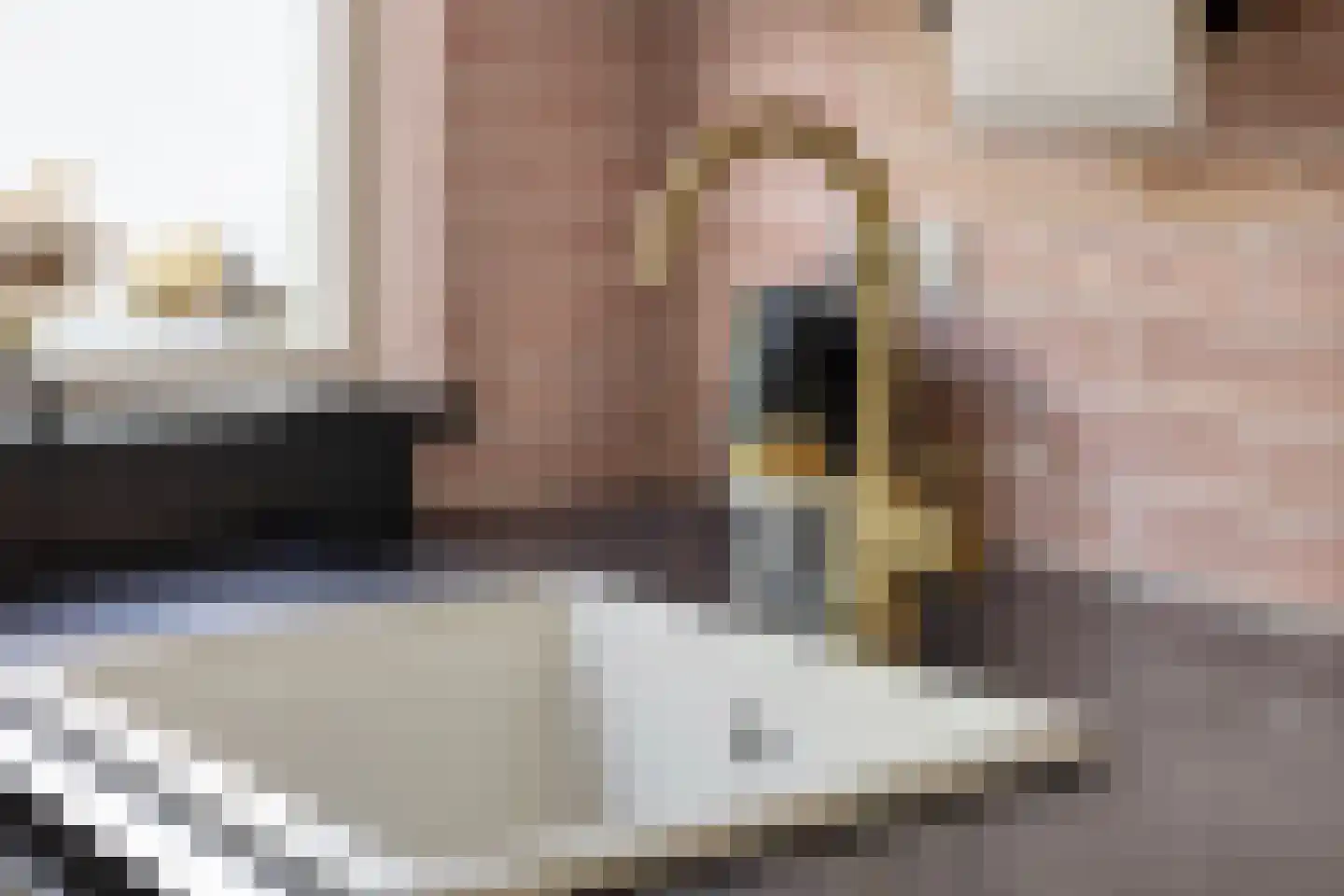 Lombardijeweg 9 Alkmaar thumbnail 14