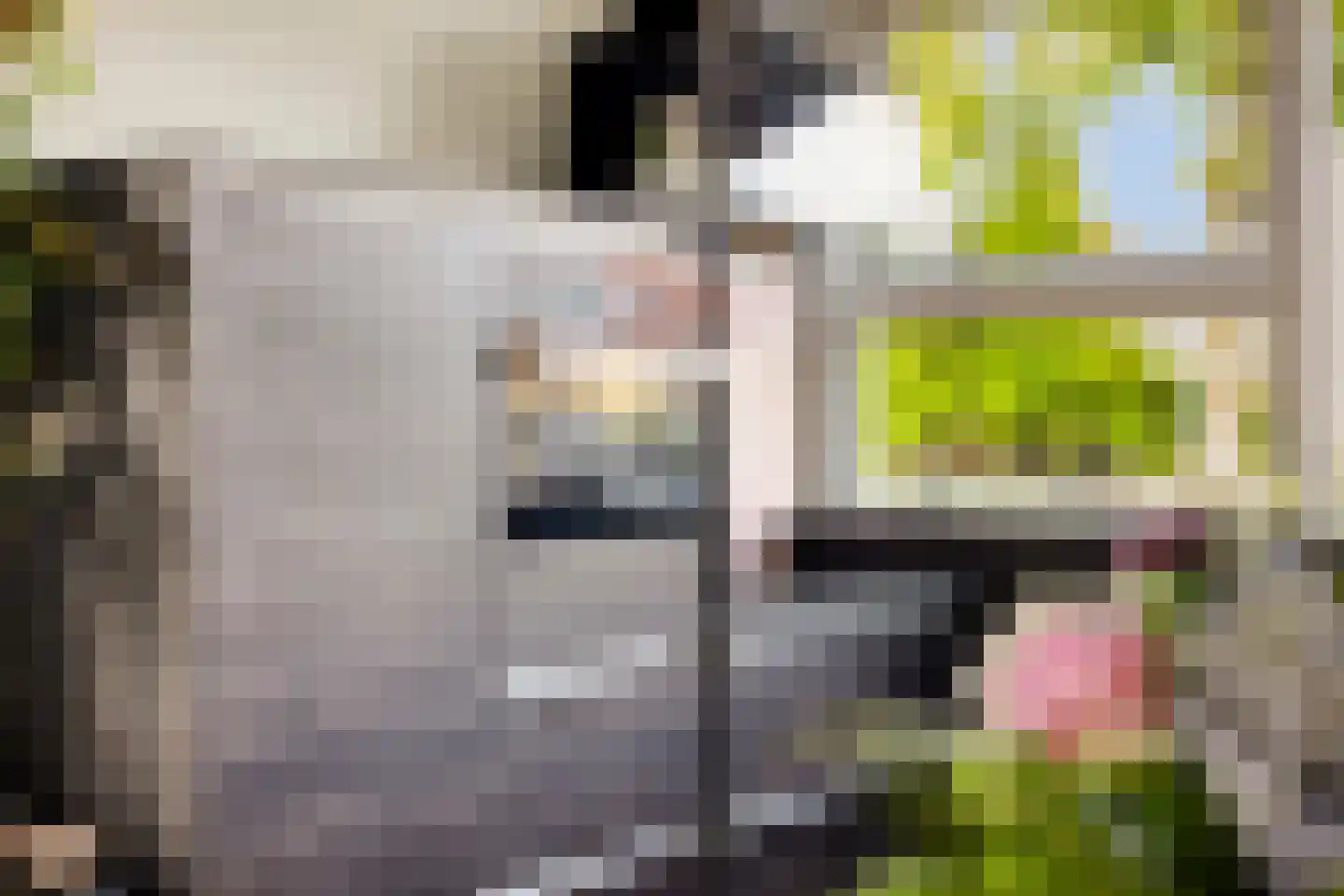 Lombardijeweg 9 Alkmaar thumbnail 16