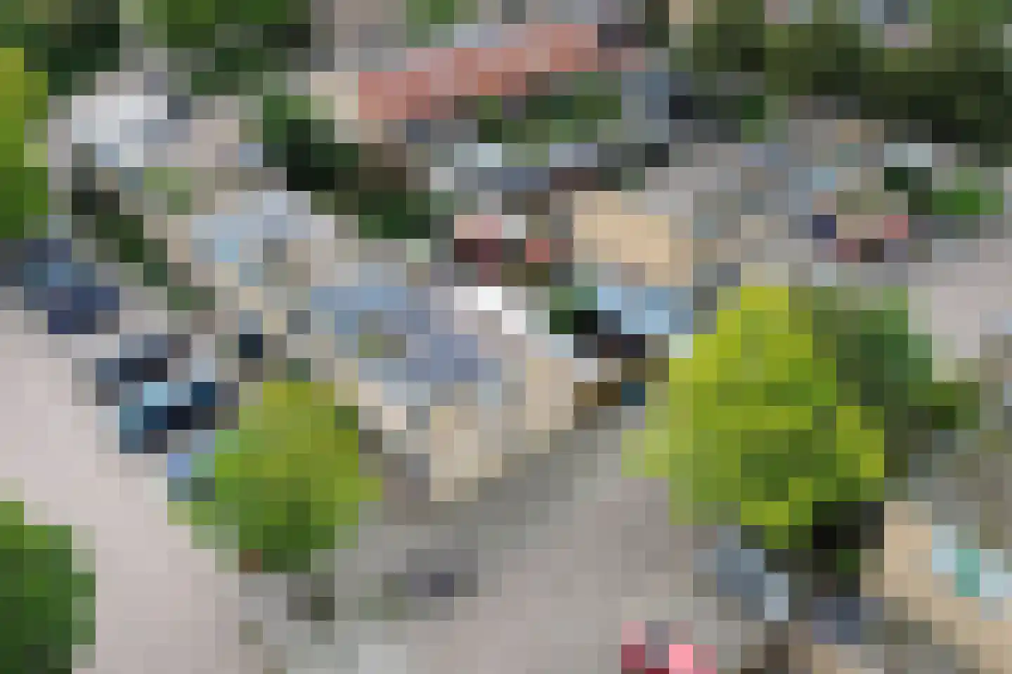 Lombardijeweg 9 Alkmaar thumbnail 5