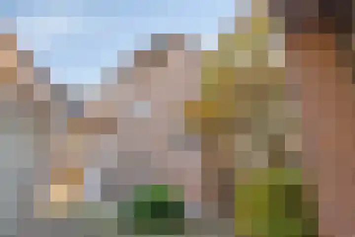 Lombardje 20 's-Hertogenbosch thumbnail 6