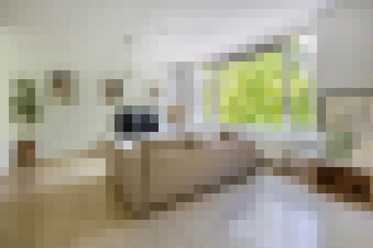 Lombardkade 18 B Rotterdam thumbnail 16