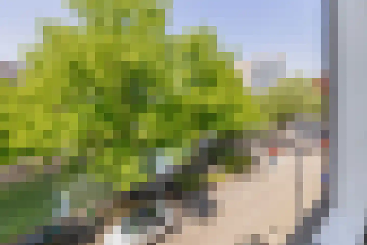 Lombardkade 18 B Rotterdam thumbnail 33
