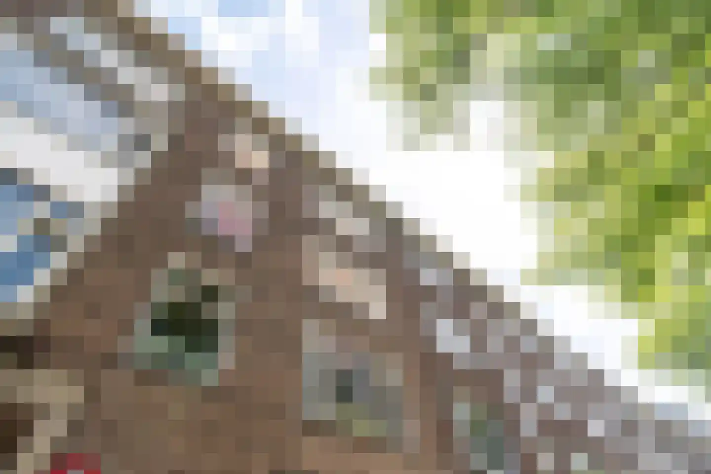 Lombardkade 19 B Rotterdam thumbnail 27
