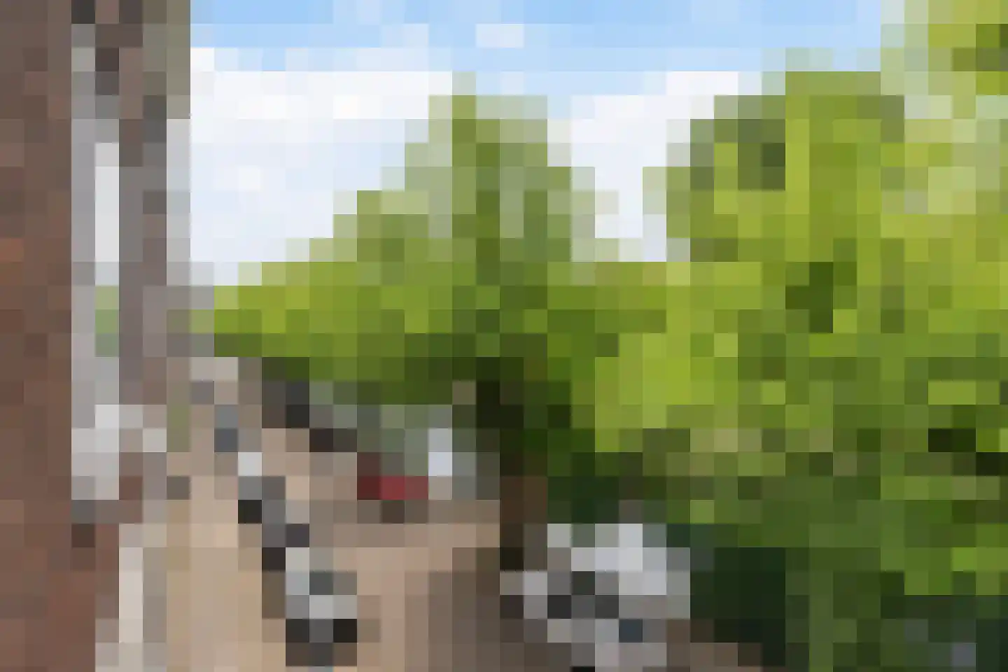 Lombardkade 19 B Rotterdam thumbnail 4
