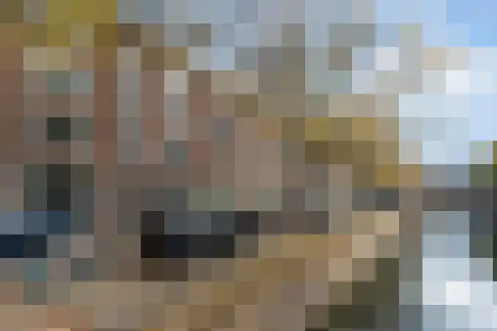 Lombardkade 24 B Rotterdam thumbnail 23