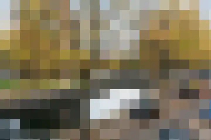 Lombardkade 24 B Rotterdam thumbnail 26