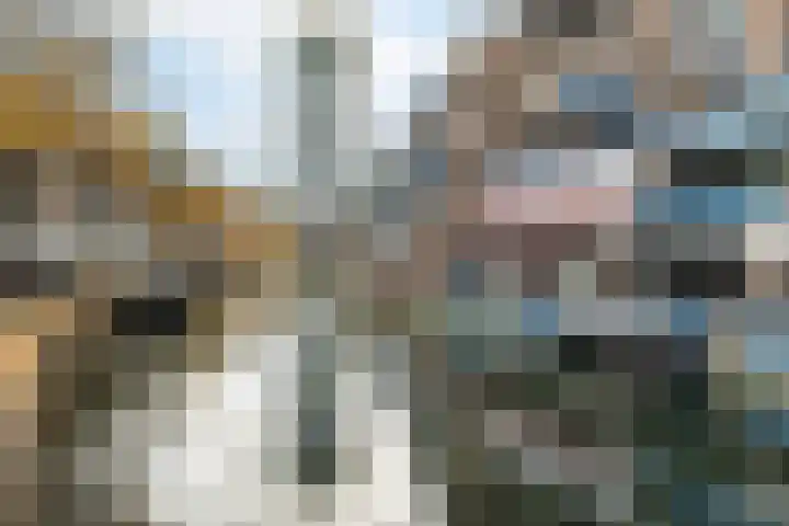 Lombardkade 24 B Rotterdam thumbnail 27