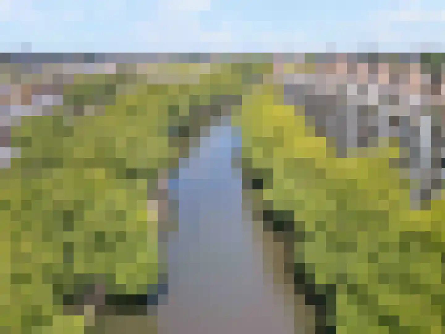 Lombardkade 27 C Rotterdam thumbnail 51