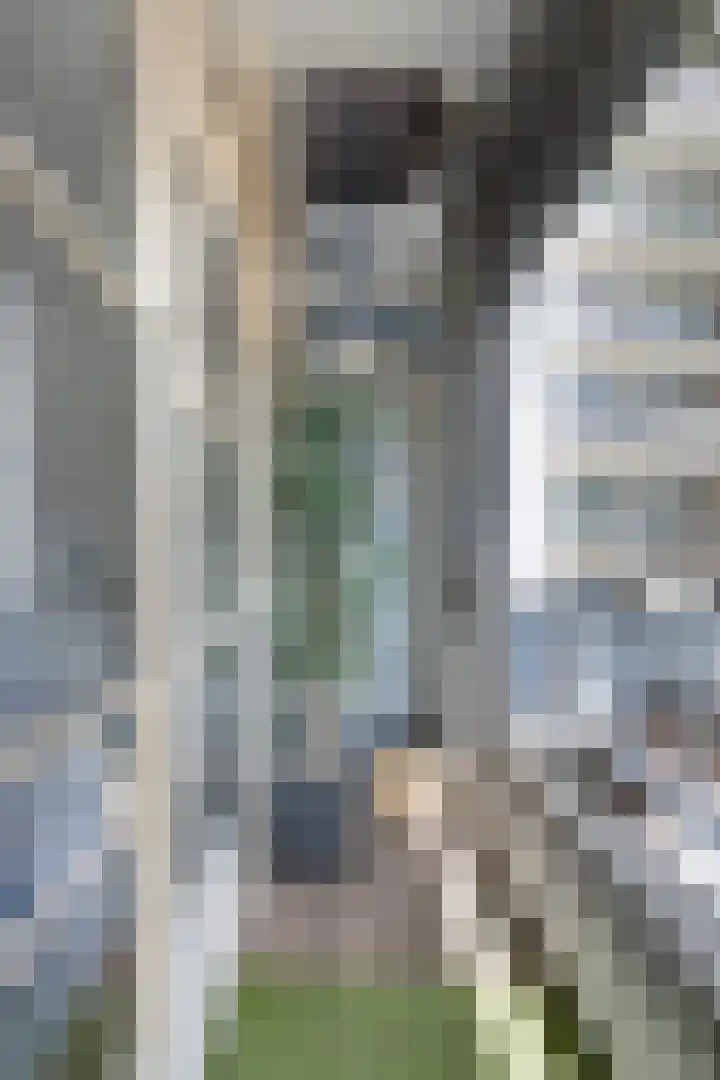 Lombardkade 38 A Rotterdam thumbnail 18