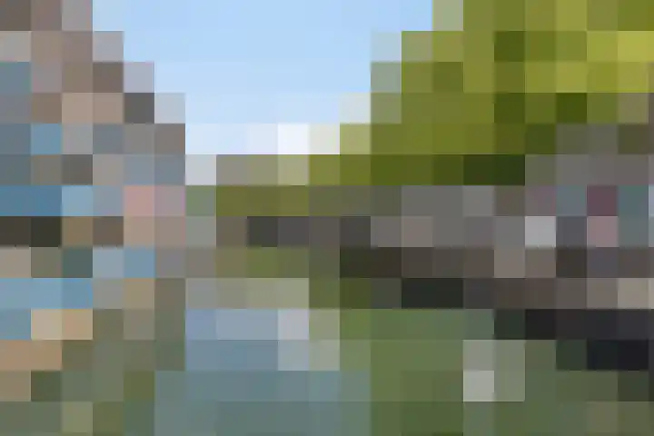 Lombardkade 38 A Rotterdam thumbnail 27