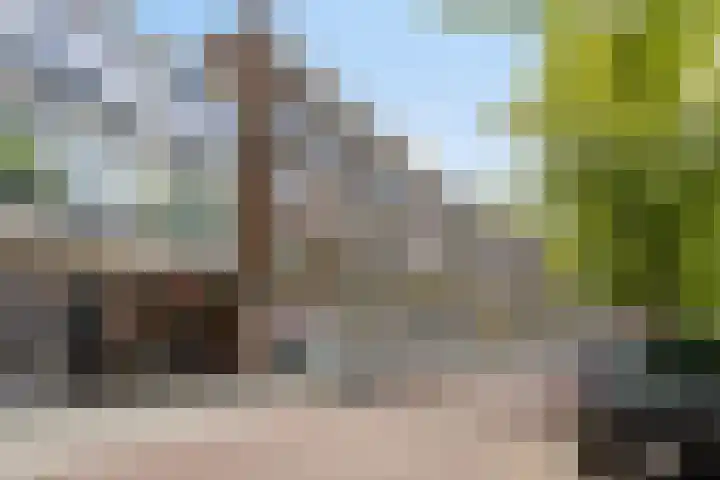 Lombardkade 38 A Rotterdam thumbnail 32