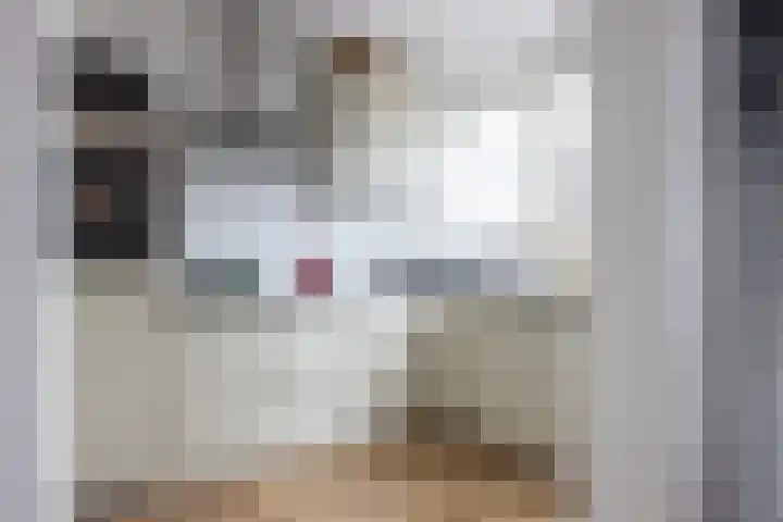 Lombardkade 49 C Rotterdam thumbnail 16
