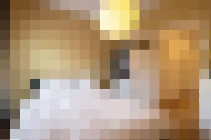 Lombardkade 49 C Rotterdam thumbnail 20
