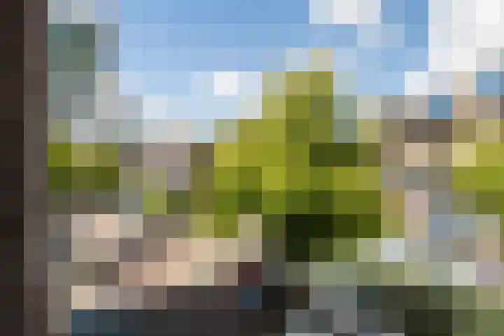 Lombardkade 51 A Rotterdam thumbnail 24