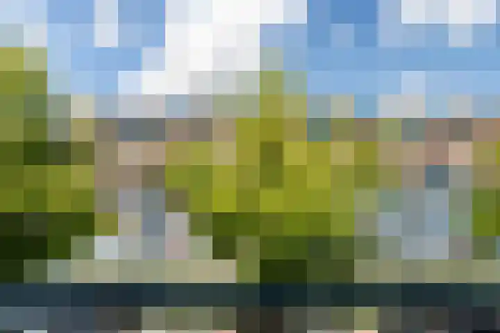 Lombardkade 51 A Rotterdam thumbnail 25