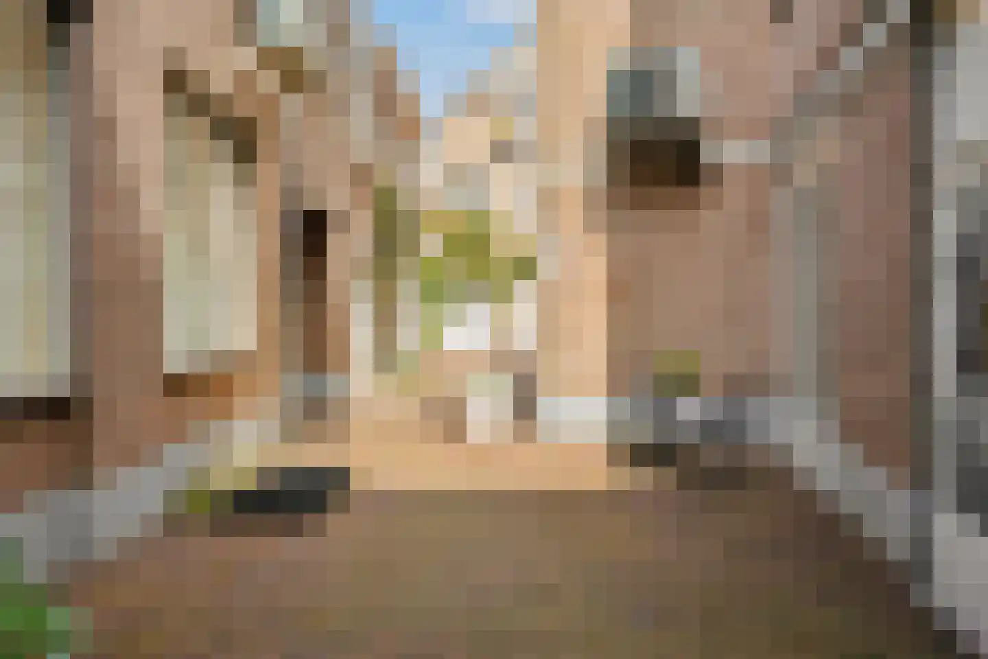Lombardpassage 21 's-Hertogenbosch thumbnail 17