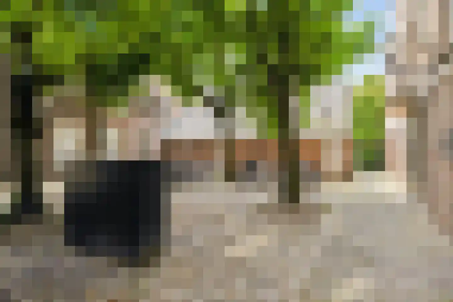 Lombardpassage 21 's-Hertogenbosch thumbnail 22