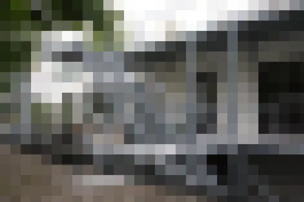 Lombardsteeg 7 Arnhem thumbnail 11