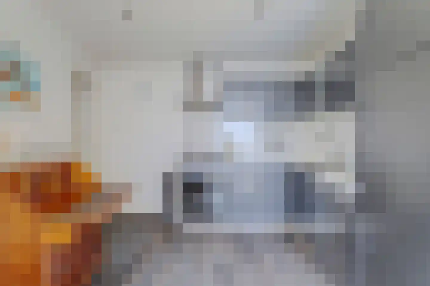 Lombardstraat 4 Harlingen thumbnail 10