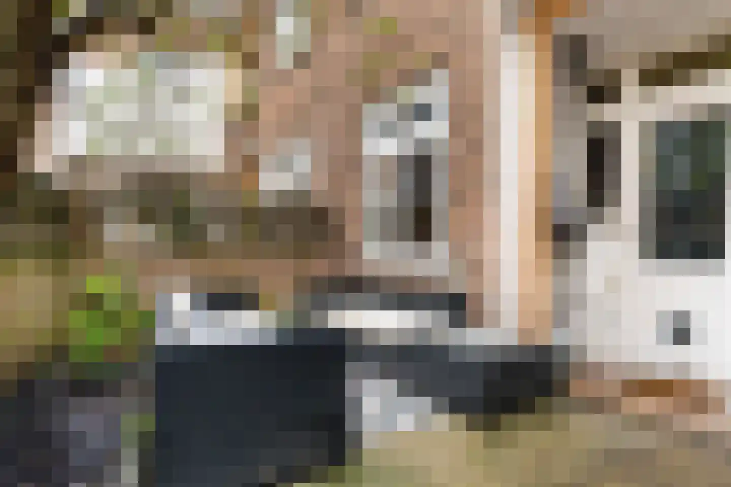 Lombardstraat 45 Dordrecht thumbnail 32