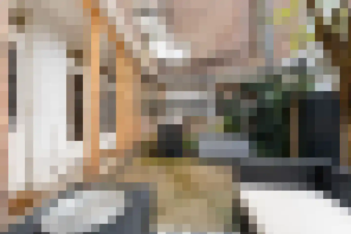 Lombardstraat 45 Dordrecht thumbnail 33