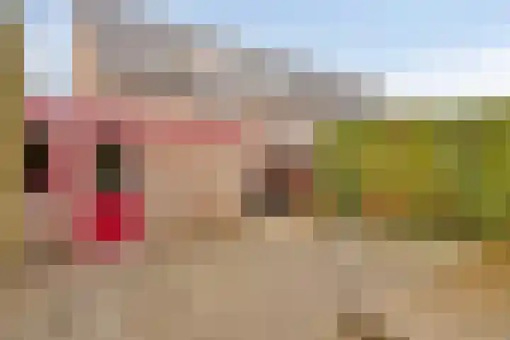Lombarts 24 Duiven thumbnail 27