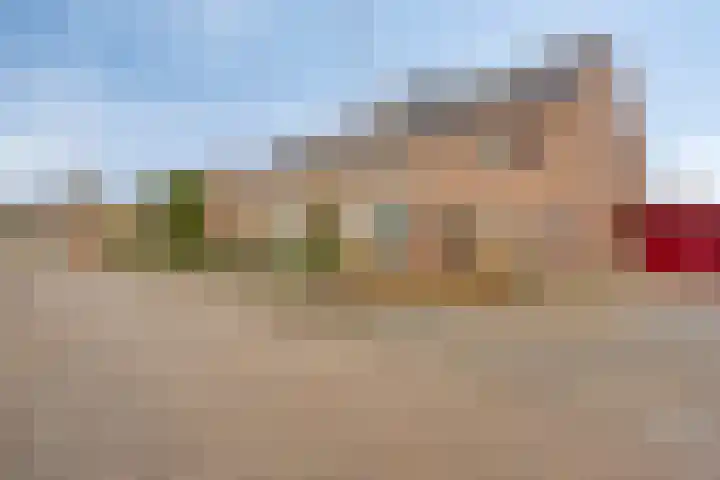 Lombarts 24 Duiven thumbnail 35