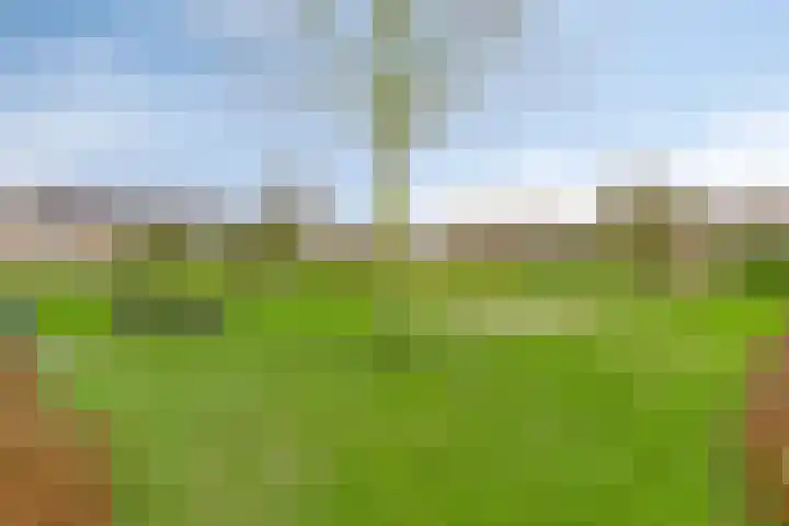 Lombarts 24 Duiven thumbnail 4