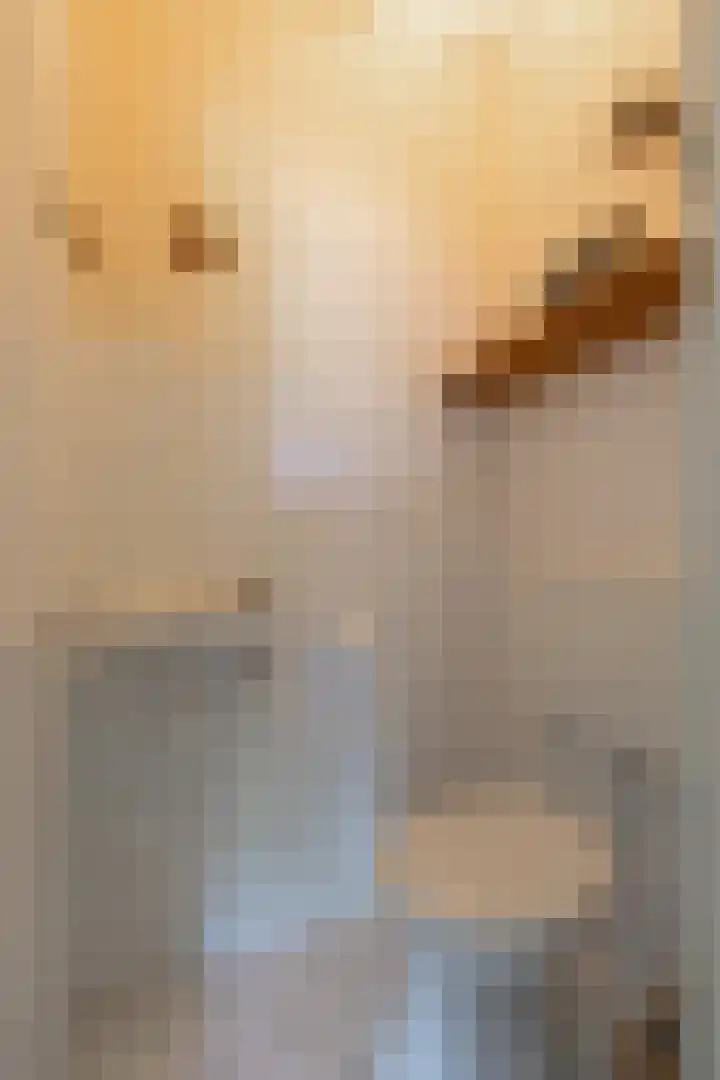 Lombarts 4 Duiven thumbnail 12