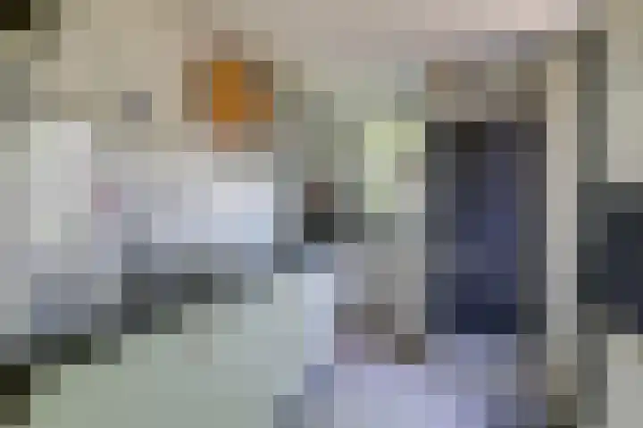 Lombarts 4 Duiven thumbnail 24