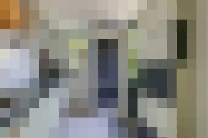 Lombarts 4 Duiven thumbnail 25