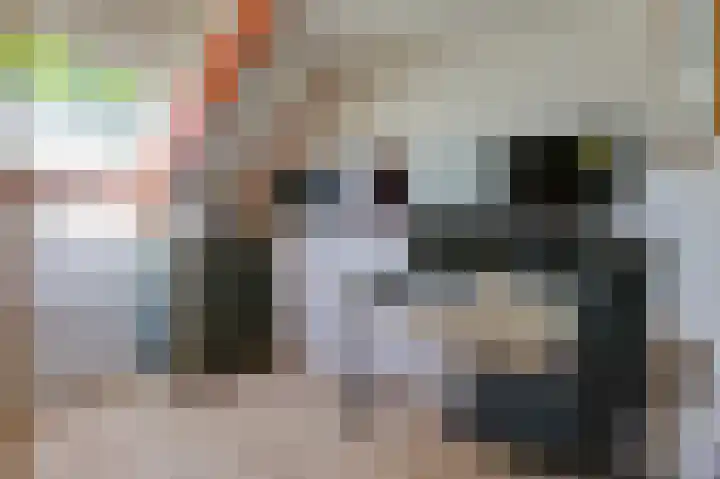 Lombarts 4 Duiven thumbnail 34