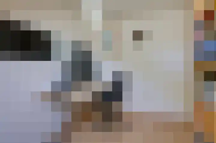 Lombarts 4 Duiven thumbnail 35