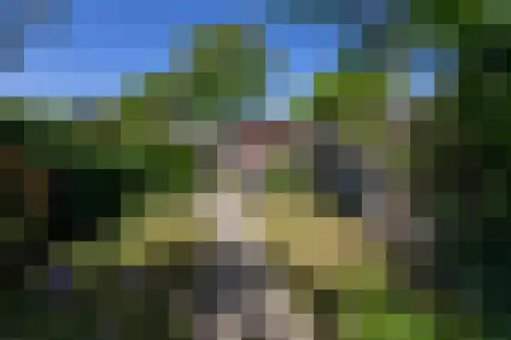 Lombarts 4 Duiven thumbnail 4