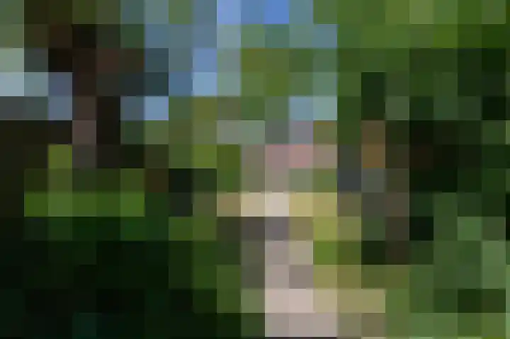 Lombarts 4 Duiven thumbnail 46