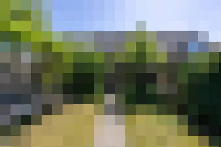 Lombarts 4 Duiven thumbnail 48