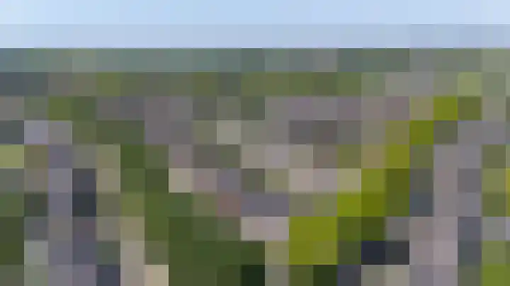 Lombarts 4 Duiven thumbnail 5