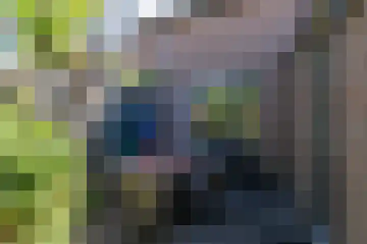 Lombarts 4 Duiven thumbnail 50